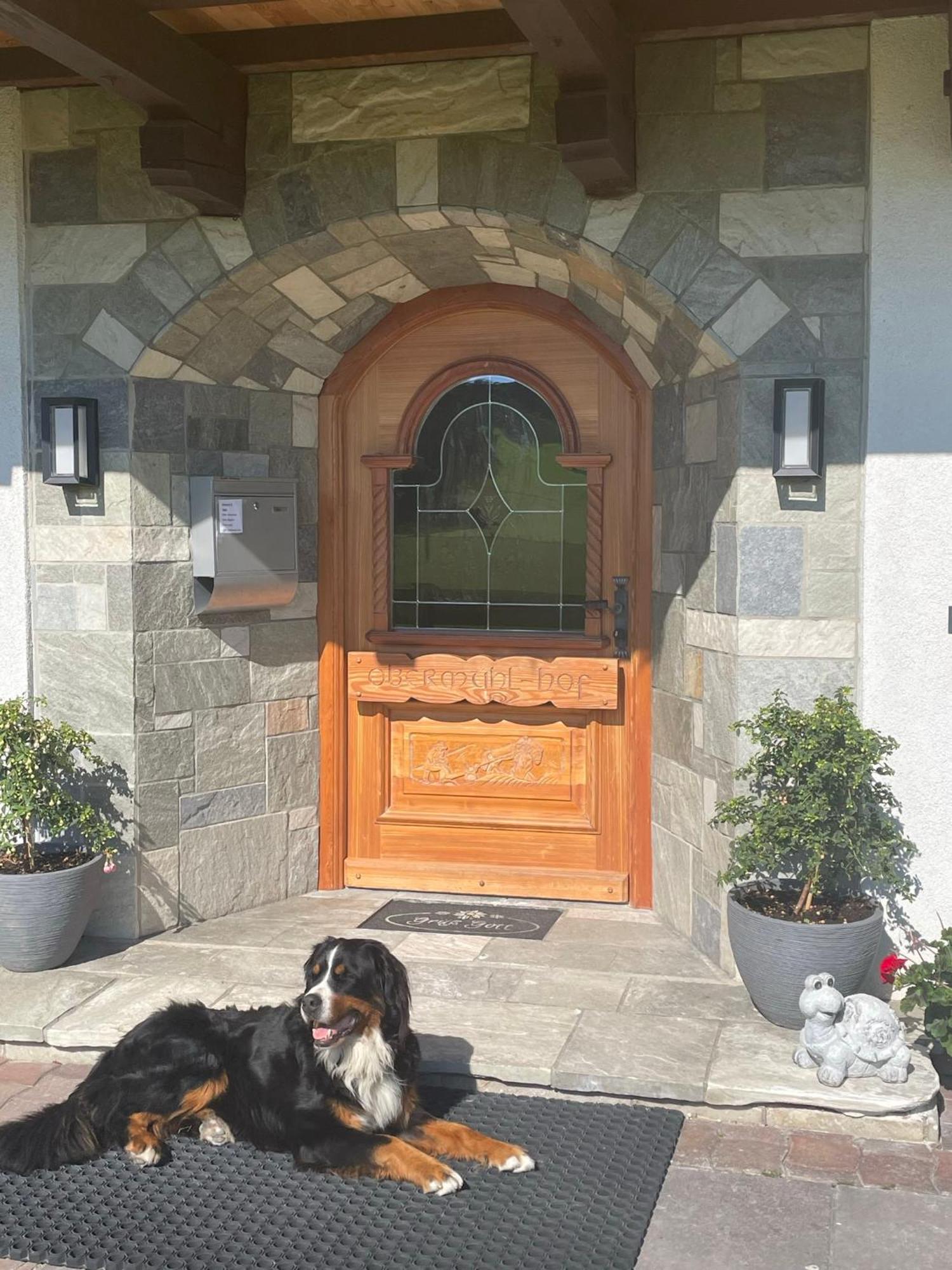 Obermuehlhof Apartamento Saalfelden Exterior foto